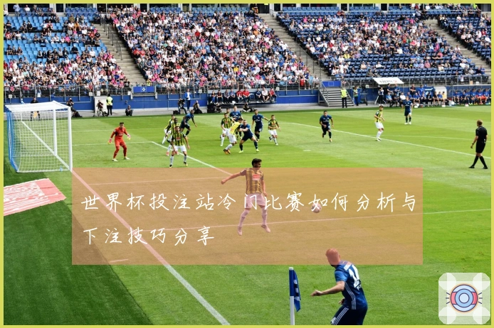 世界杯投注站冷门比赛如何分析与下注技巧分享