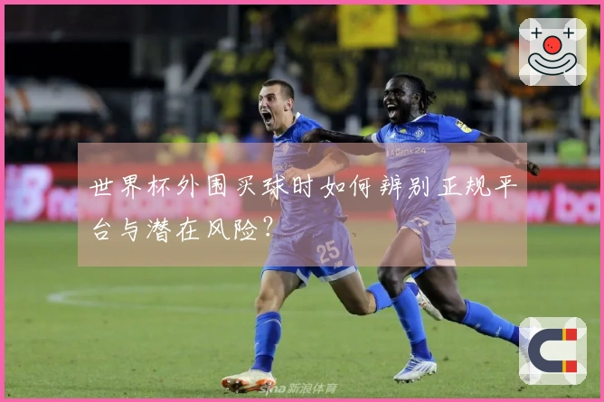 世界杯外围买球时如何辨别正规平台与潜在风险？